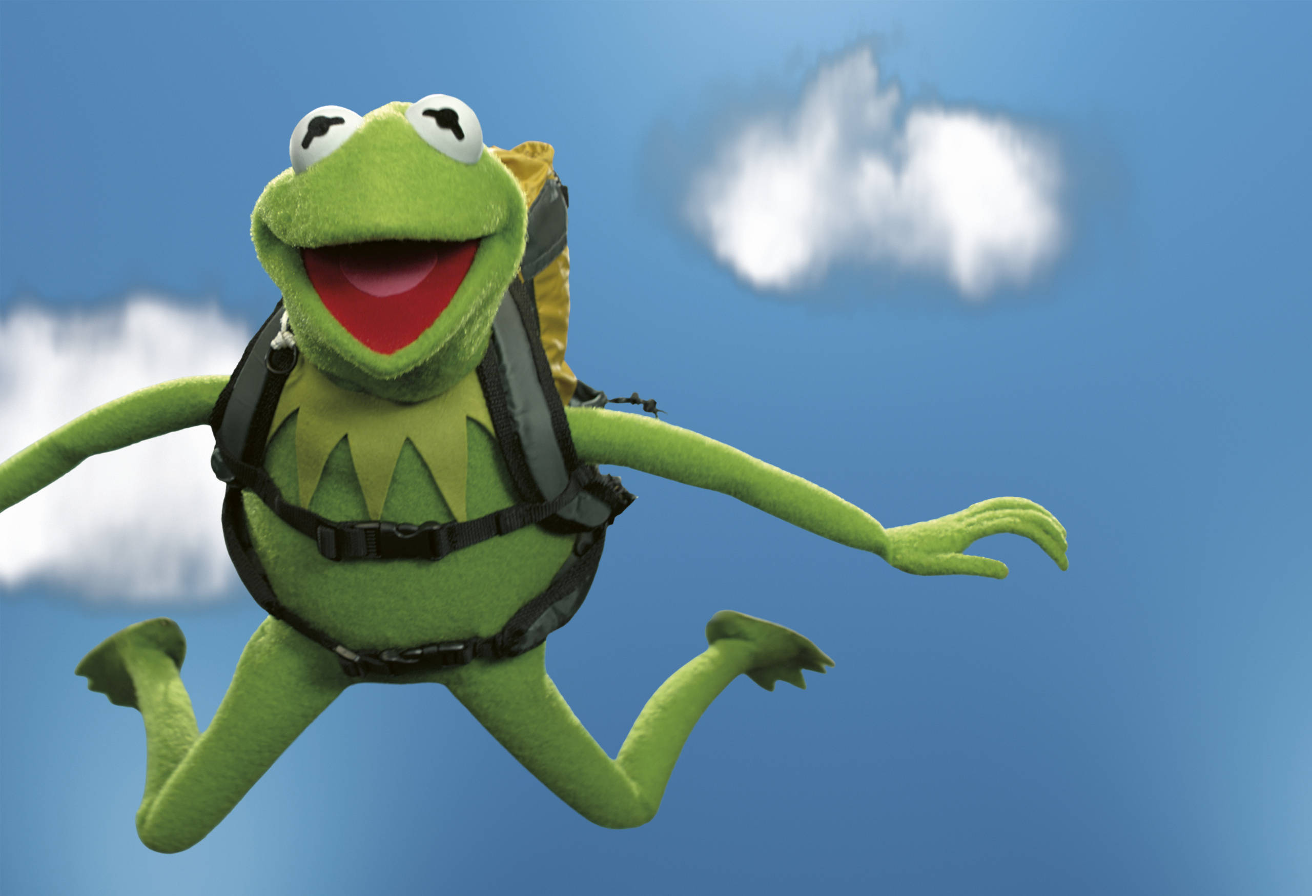 于是,我们选择与地球上最单纯的人合作:kermit the frog,这位科米蛙是