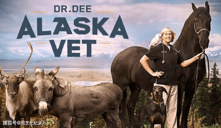 【142】探索频道《Dee博士：阿拉斯加兽医 Dr. Dee: Alaska Vet》第1-2季全18集 英语外挂中字 官方纯净版 1080P/MKV/43.7G 兽医纪录片