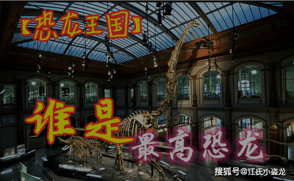 凤凰至尊 平台开户注册代理登录失败怎么办理（原创            【恐龙王国】最高的恐龙——长颈巨龙）颈很长的恐龙，