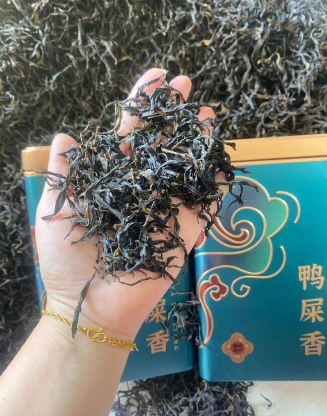 怎样才能买到好喝的鸭屎香?_茶叶_口感_产地