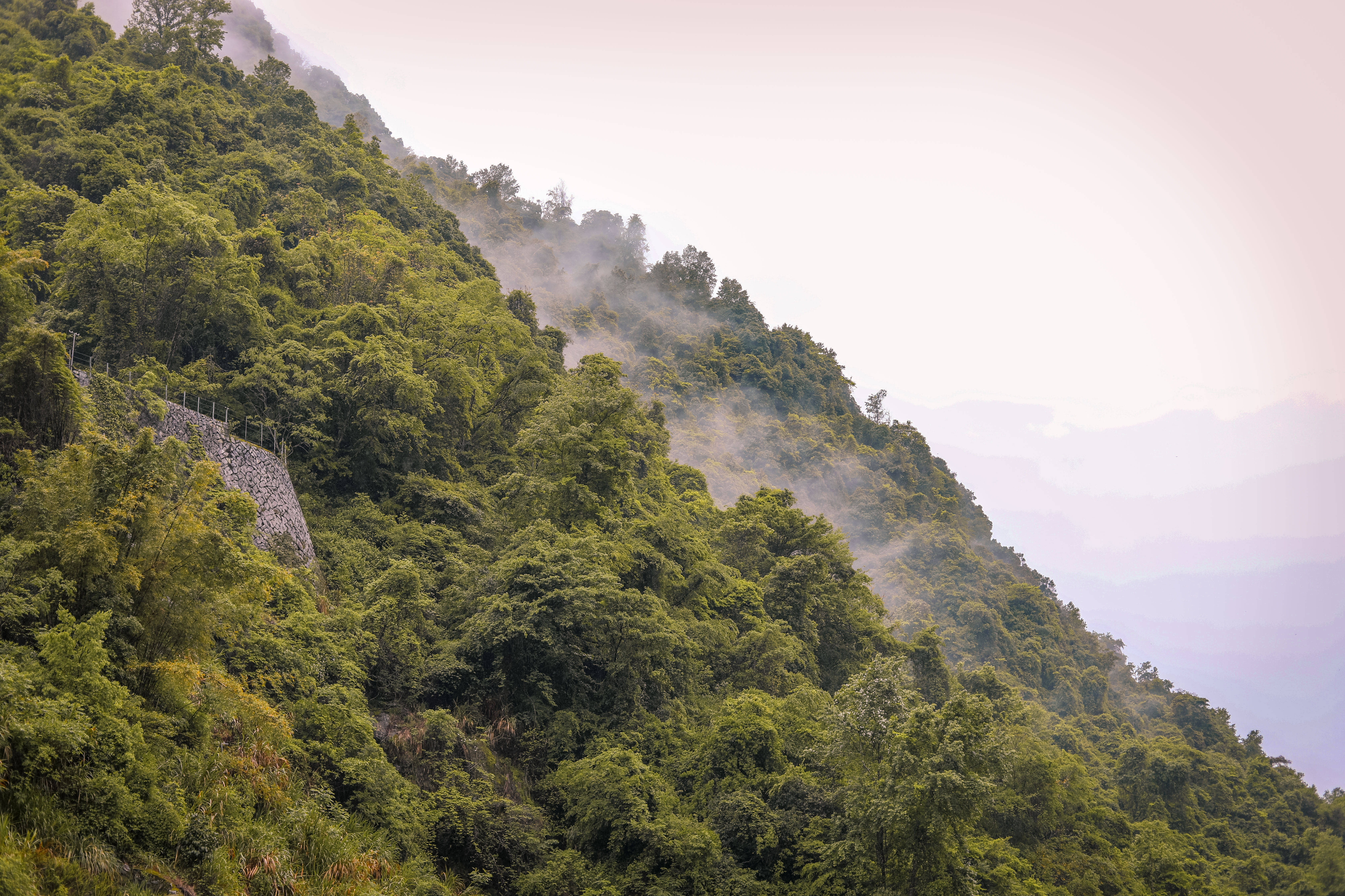 泰顺雅阳大峡谷图片