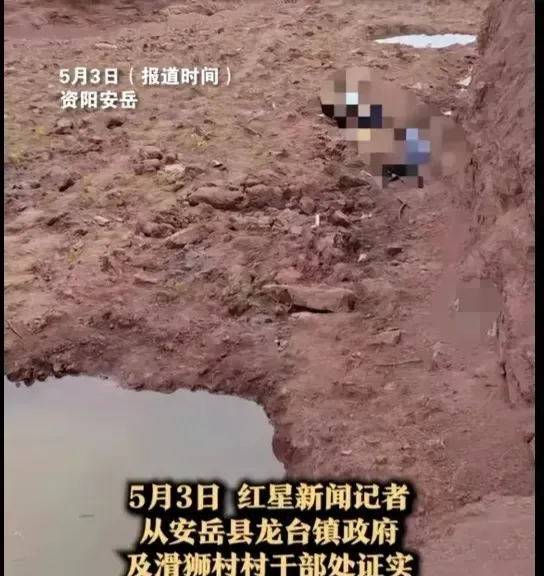 四川一起三姐弟全部不幸溺亡，年龄分别为3岁、7岁和10岁