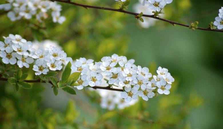 今夏大部分地区气温或再现，空调厂商福祸相倚-家电圈官网