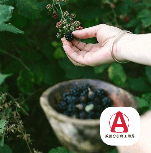 桑葚养颜滋阴补肾乌发安神等功效与作用，哪些人不能食用？（搜一下桑葚的功效）