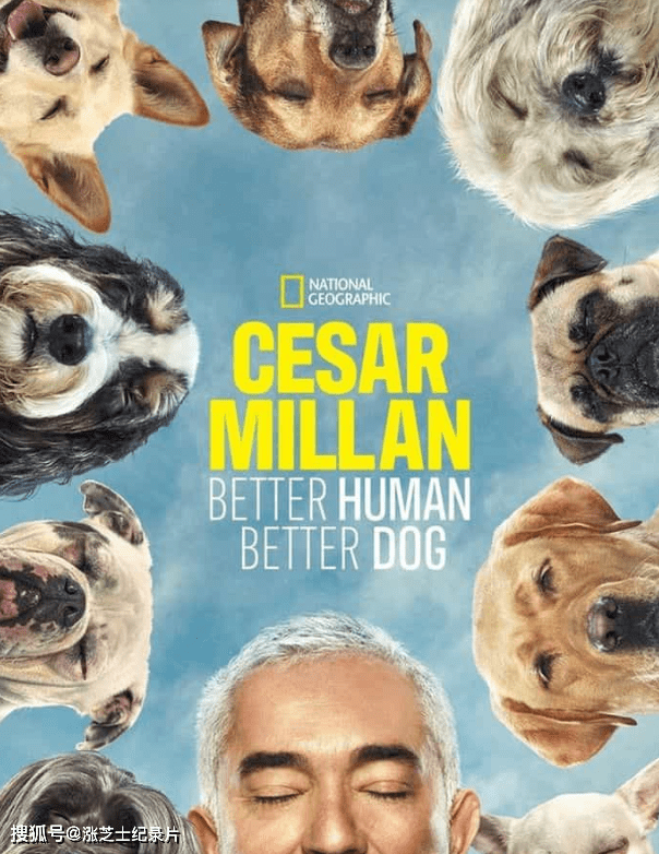 9113-国家地理《西泽教官狗主人训练班 Cesar Millan: Better Human Better Dog 2023》第2-3季全24集 英语多国中字 官方纯净版 1080P/MP4/57.3G 狗狗训练