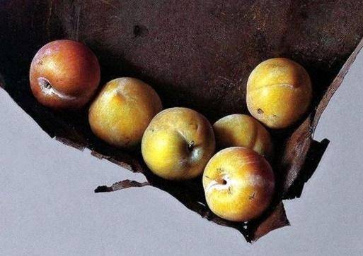 冷军画6个"带白霜"的李子,"虫眼"都画得一清二楚,卖184万!