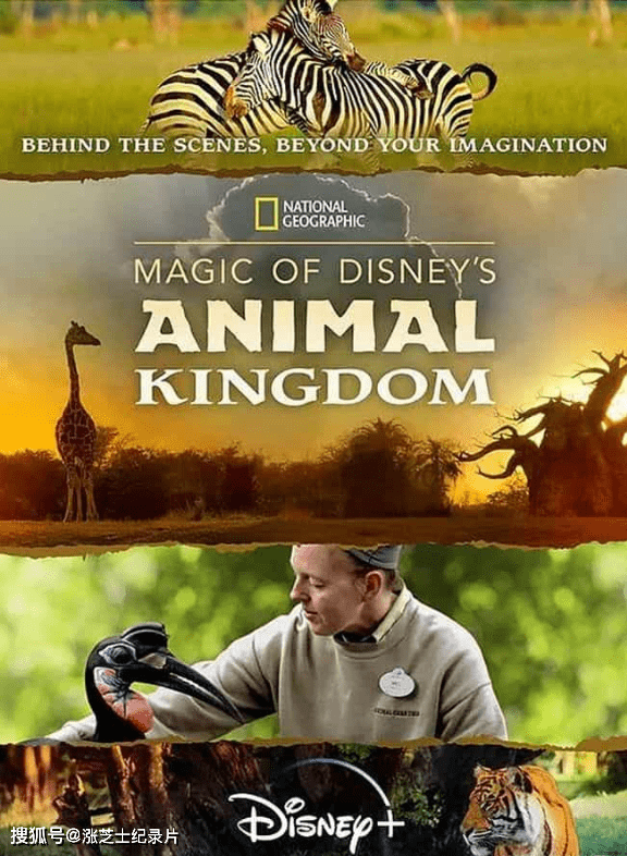 9258-国家地理/迪士尼《迪士尼动物王国 Magic of Disney’s Animal Kingdom 2023》第1-2季全18集 英语多国中字 官方纯净版 1080P/MKV/41.5G 动物王国探奇