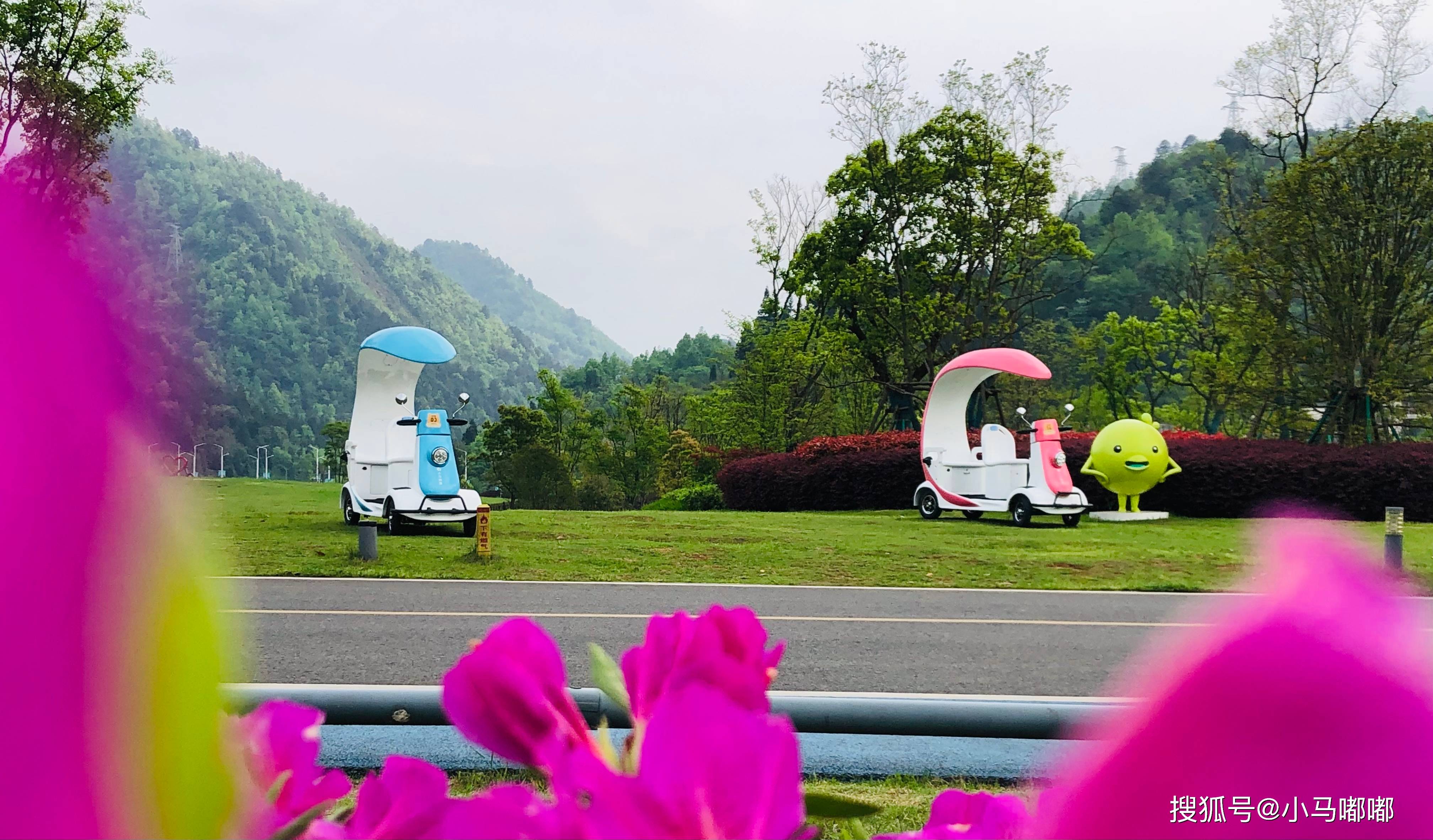 景区已经观光车,还有必要引进共享电动代步车吗?