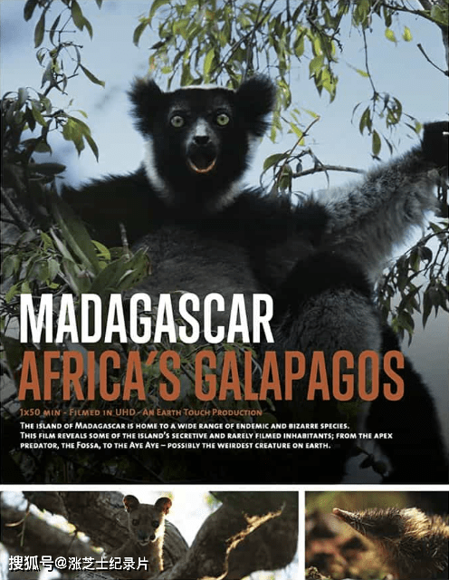 9373-南非纪录片《马达加斯加：非洲的加拉帕戈斯 Madagascar: Africa’s Galapagos 2019》英语中英双字 官方纯净版 1080P/MKV/2.93G 马达加斯加