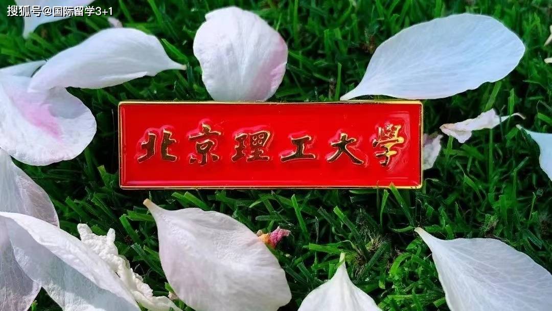 重磅来袭|北京理工大学4 0国际本科_项目_教育_合作