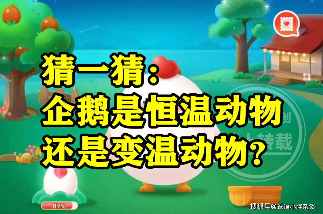 原创
            蚂蚁庄园：企鹅是恒温动物