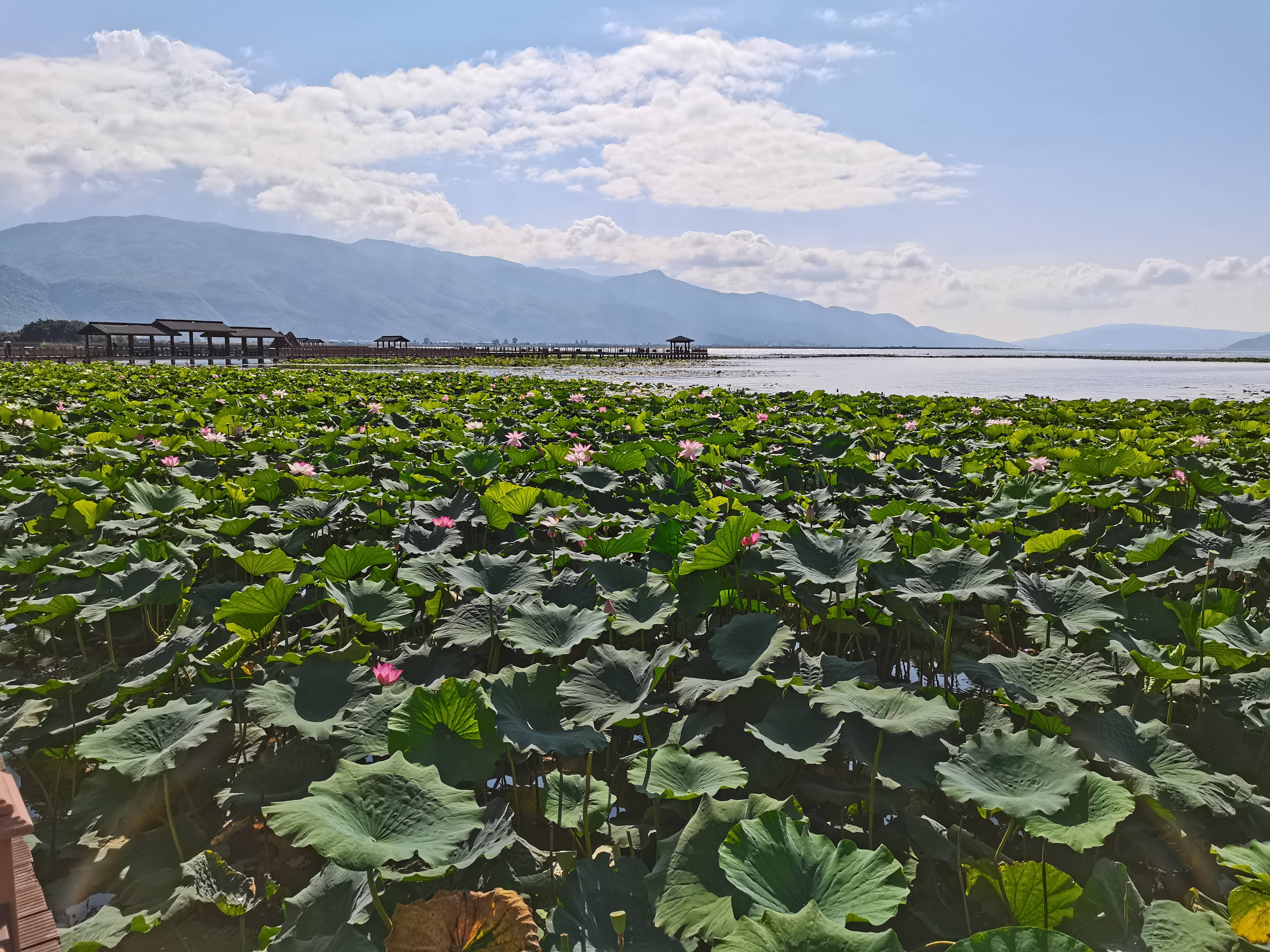 石屏异龙湖环湖美景图片