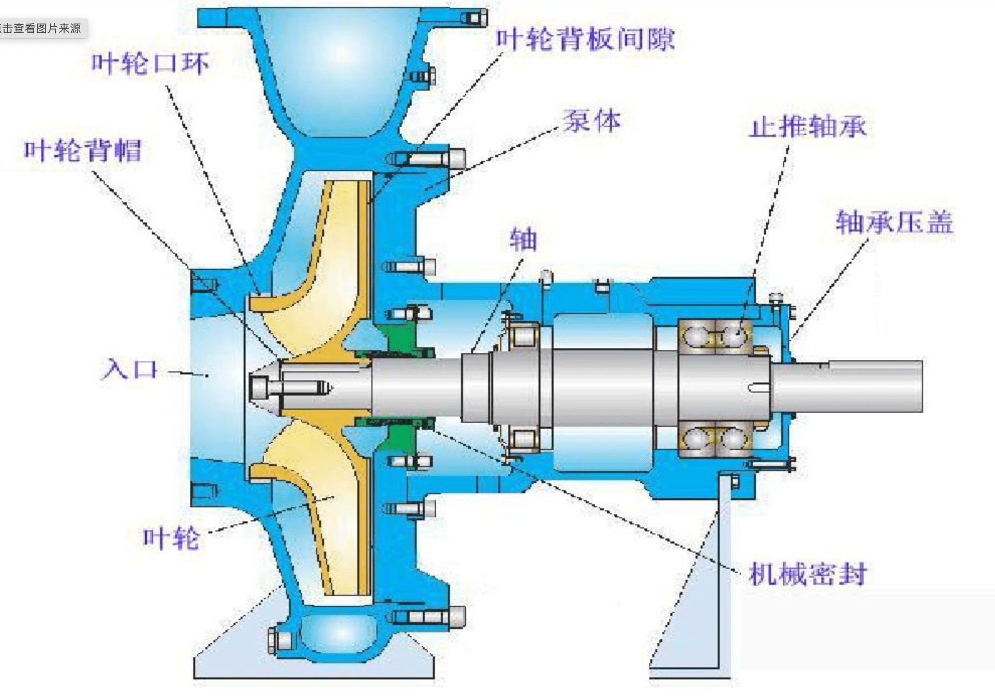 软轴泵泵头内部结构图图片