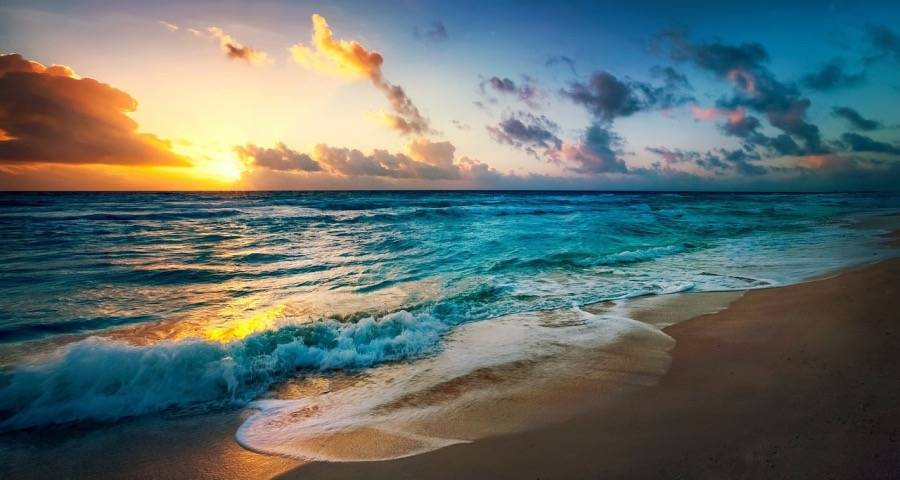 家电市场乱战之下的厂商生存之道-家电圈官网