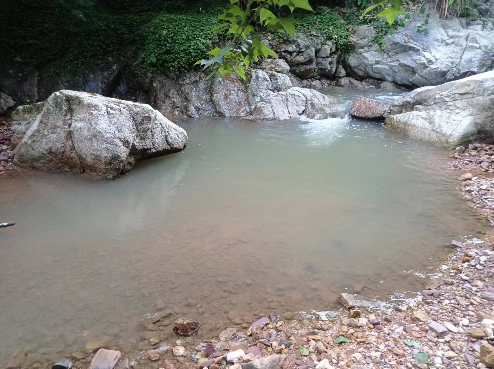 原创            37届华鼎奖，斩获大奖，实至名归的认可