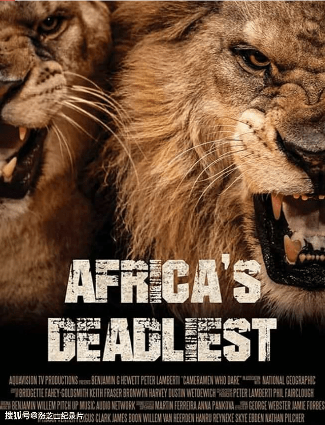 9563-国家地理《非洲创意杀手 Africa’s Creative Killers 2015》全3集 英语无字 720P/MKV/3.08G 非洲猎手