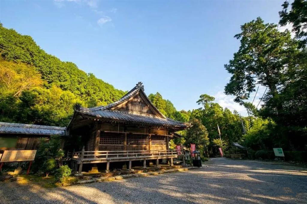 博雅关注 | 主题文化成为露营消费驱动力_旅游_休闲_营地