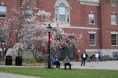 留学机构口碑对比_留学机构选择标准_留学课堂辅导机构