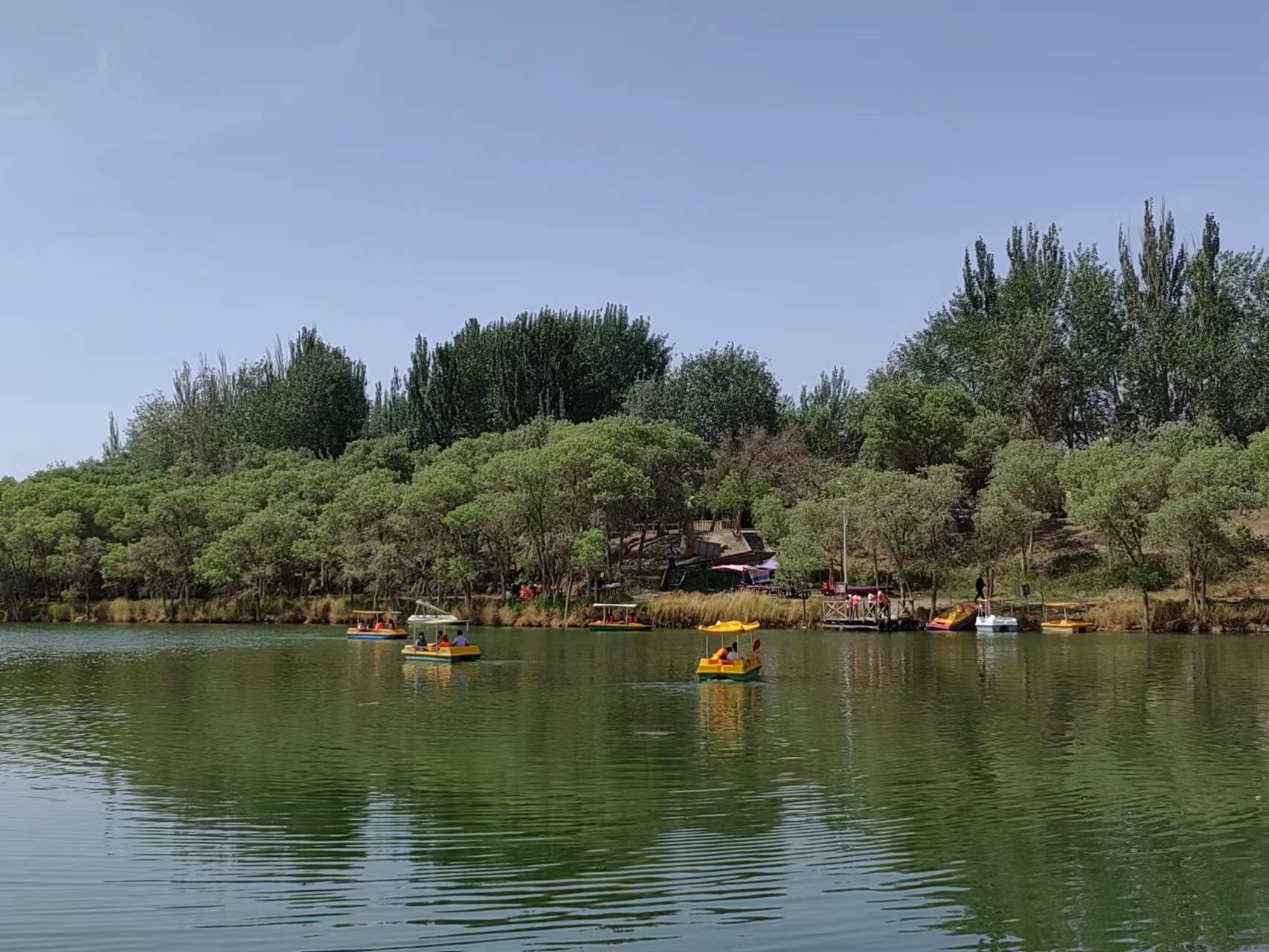 且末县:乡村百日文化旅游活动 助力乡村振兴_景区_发展_梧桐