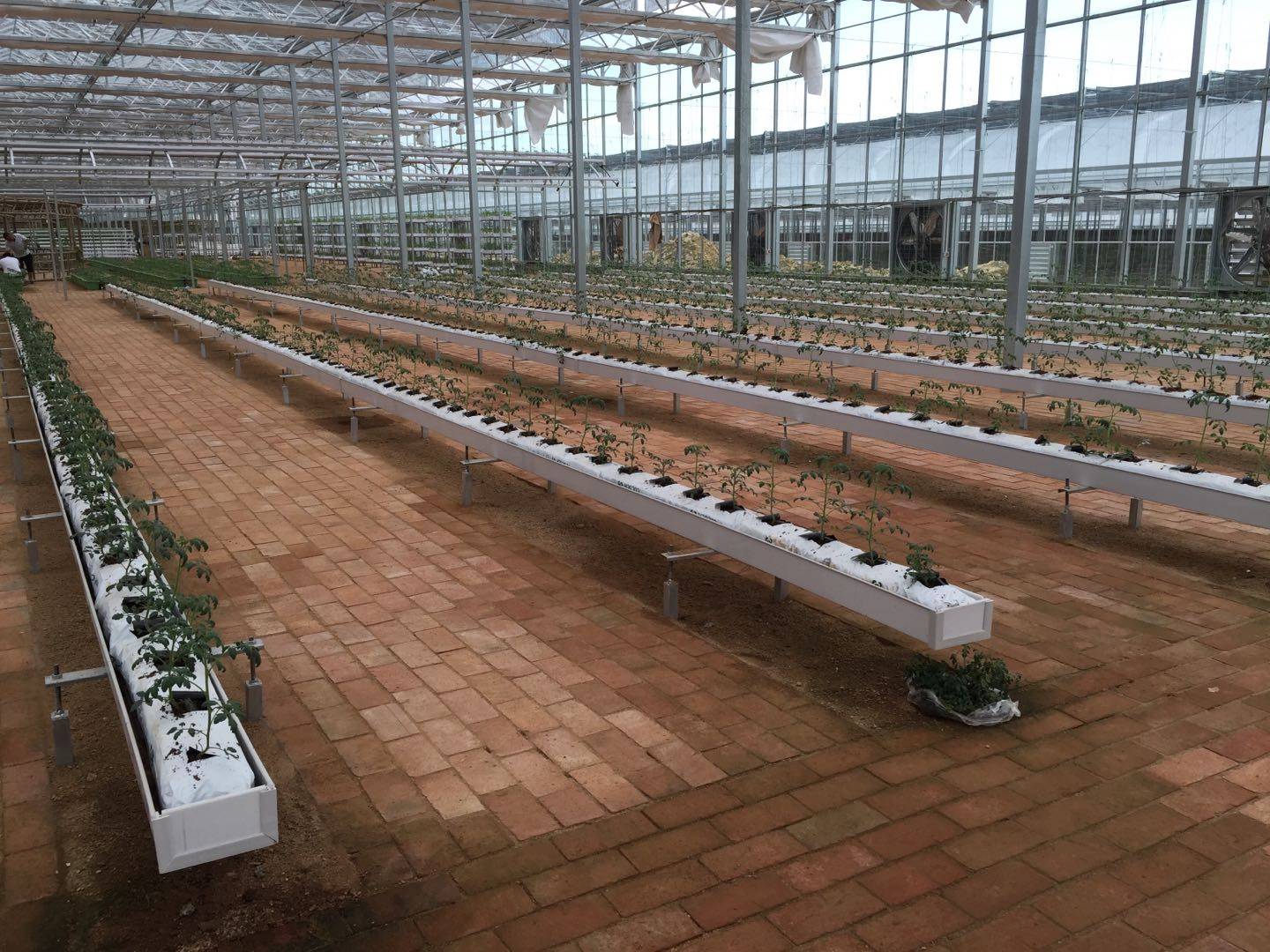 荷兰模式无土栽培pvc槽 几字槽种植番茄立体支架 荷兰几字槽价格 番茄