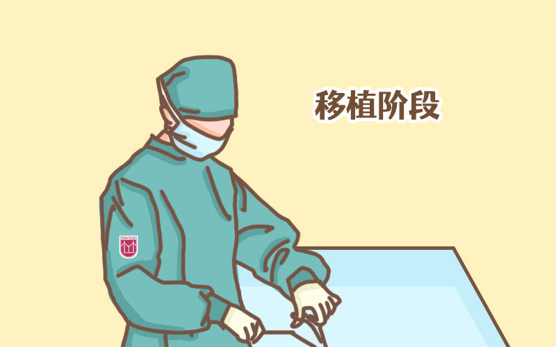 试管婴儿移植前到孕早期前三个月,都属于关键时期,注意不要同房的