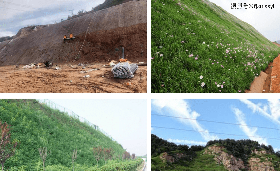 福建省邊坡復綠礦山修復高速公路護坡草籽種子_生態_應用_實踐