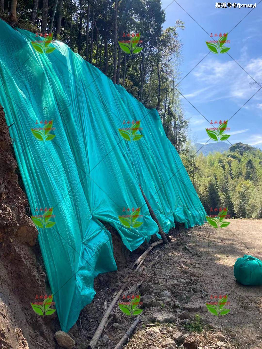 高速公路路堑边坡挂三维网液压喷播植草