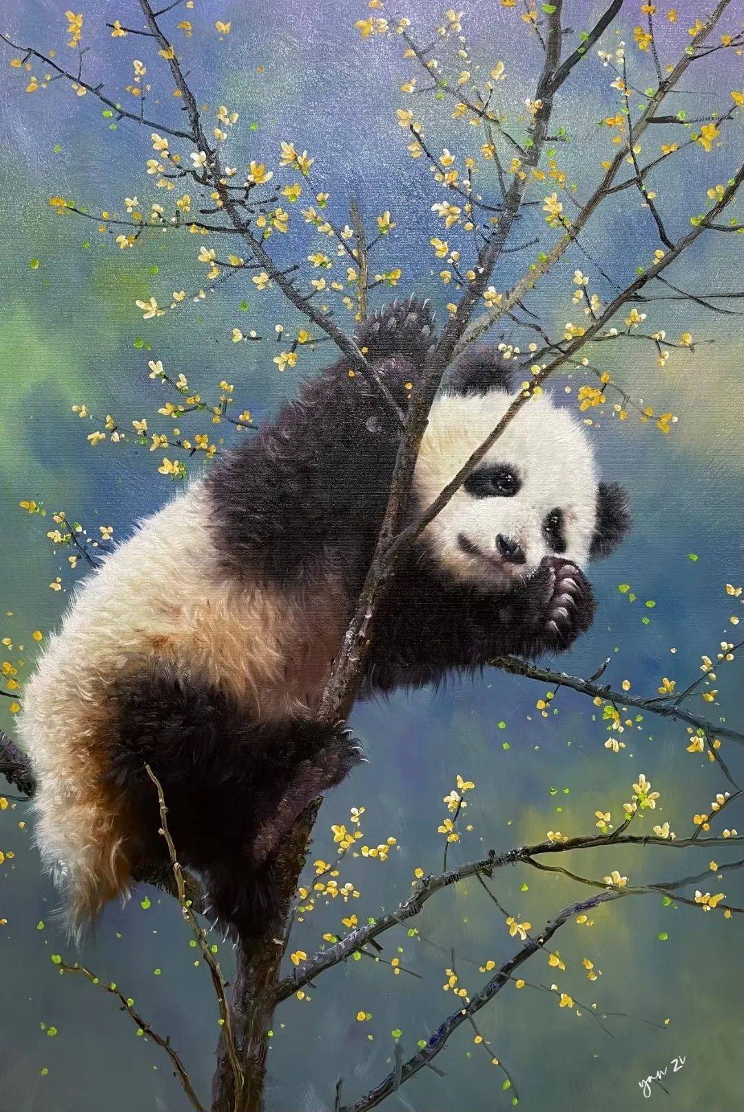 名家作品|我用画笔述熊猫——油画家晏子作品欣赏_布面_佛坪_秦岭