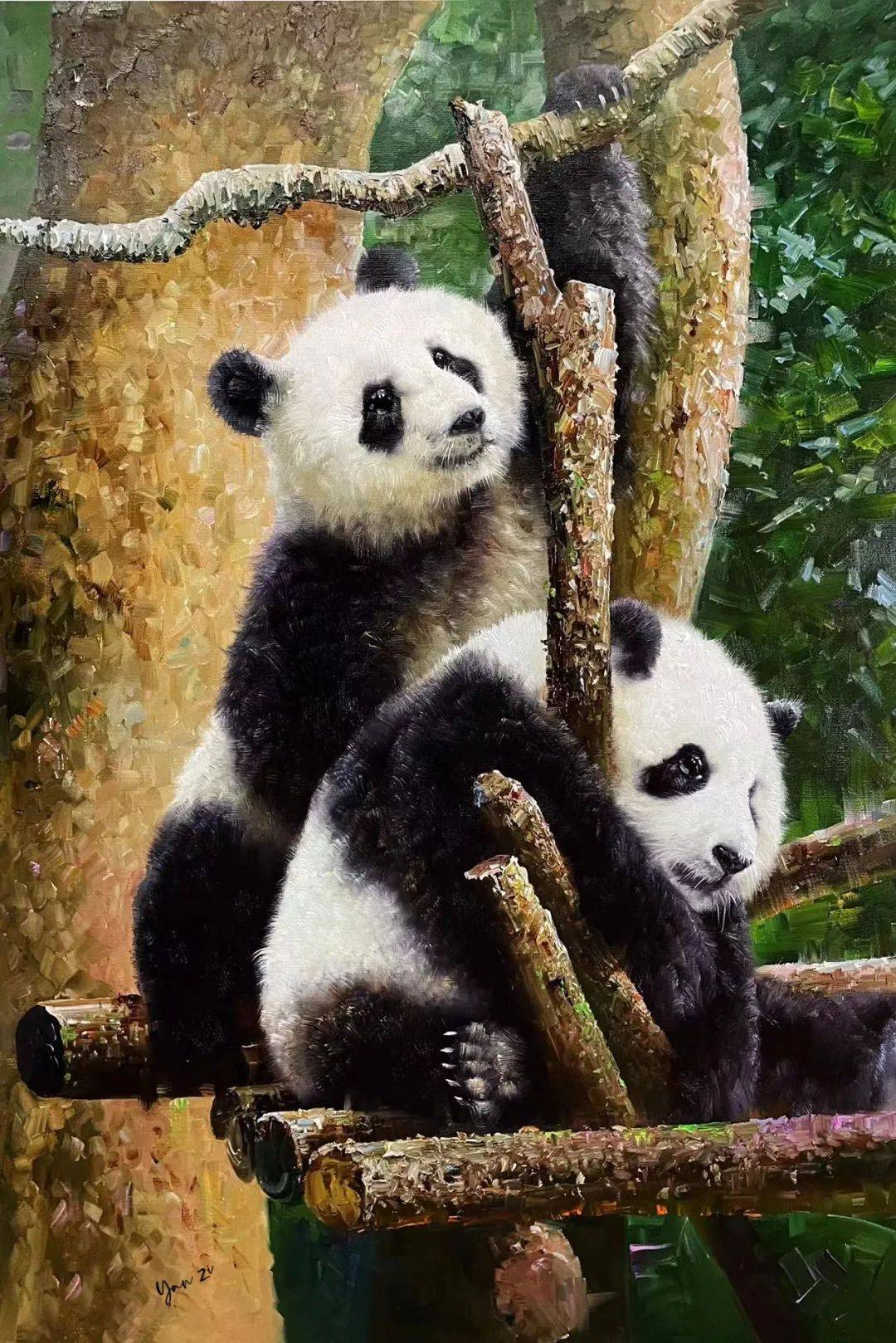 名家作品|我用画笔述熊猫——油画家晏子作品欣赏_布面_佛坪_秦岭