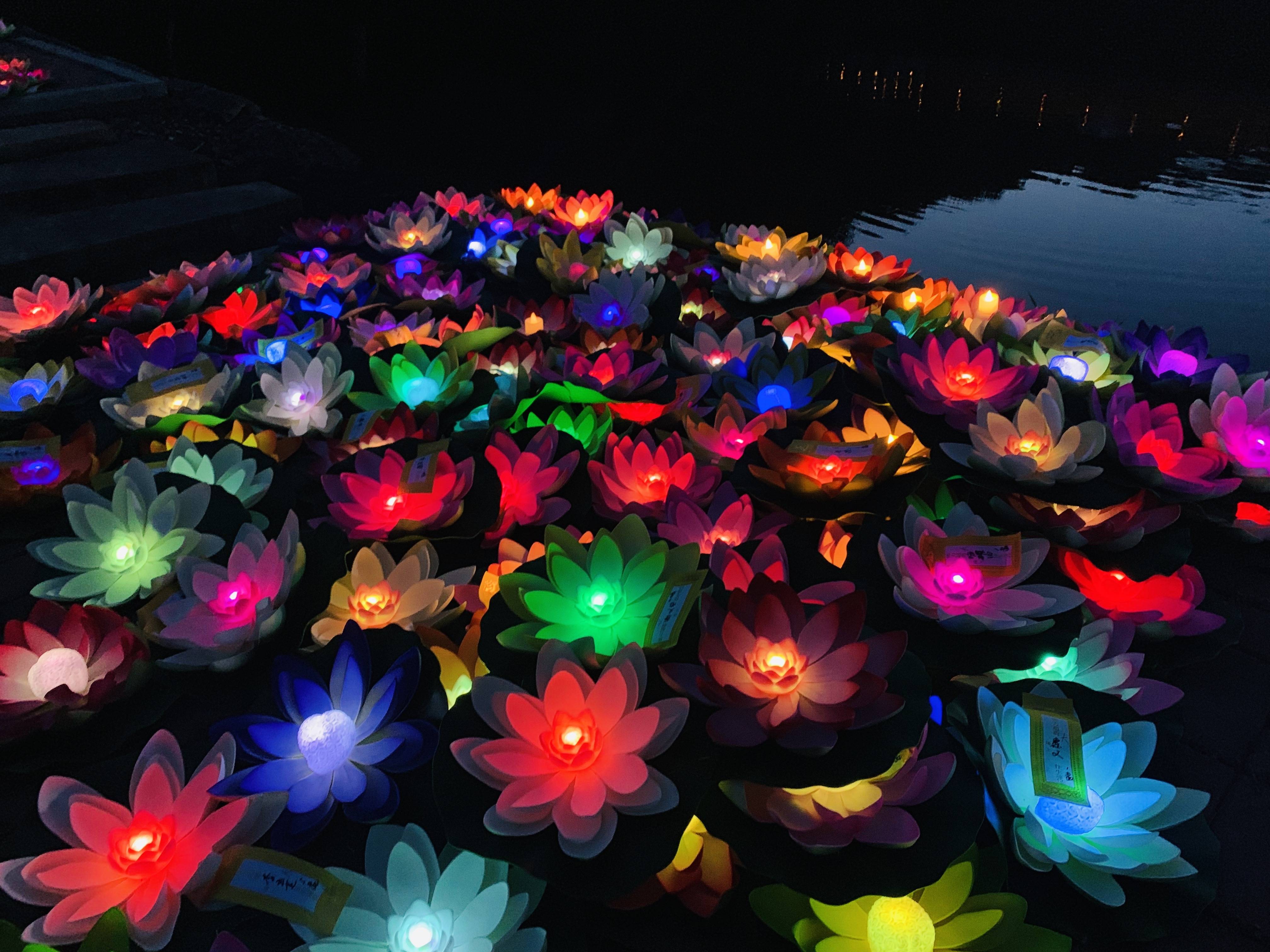 沈阳陶然寝园为何要在中元节举行放河灯仪式_人们_逝者_活动