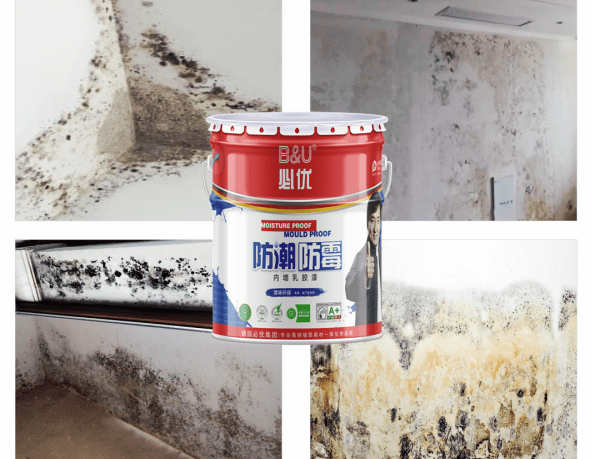 在墙面刷上具备防霉防潮的墙面漆,便能有效解决潮湿环境带来的霉斑