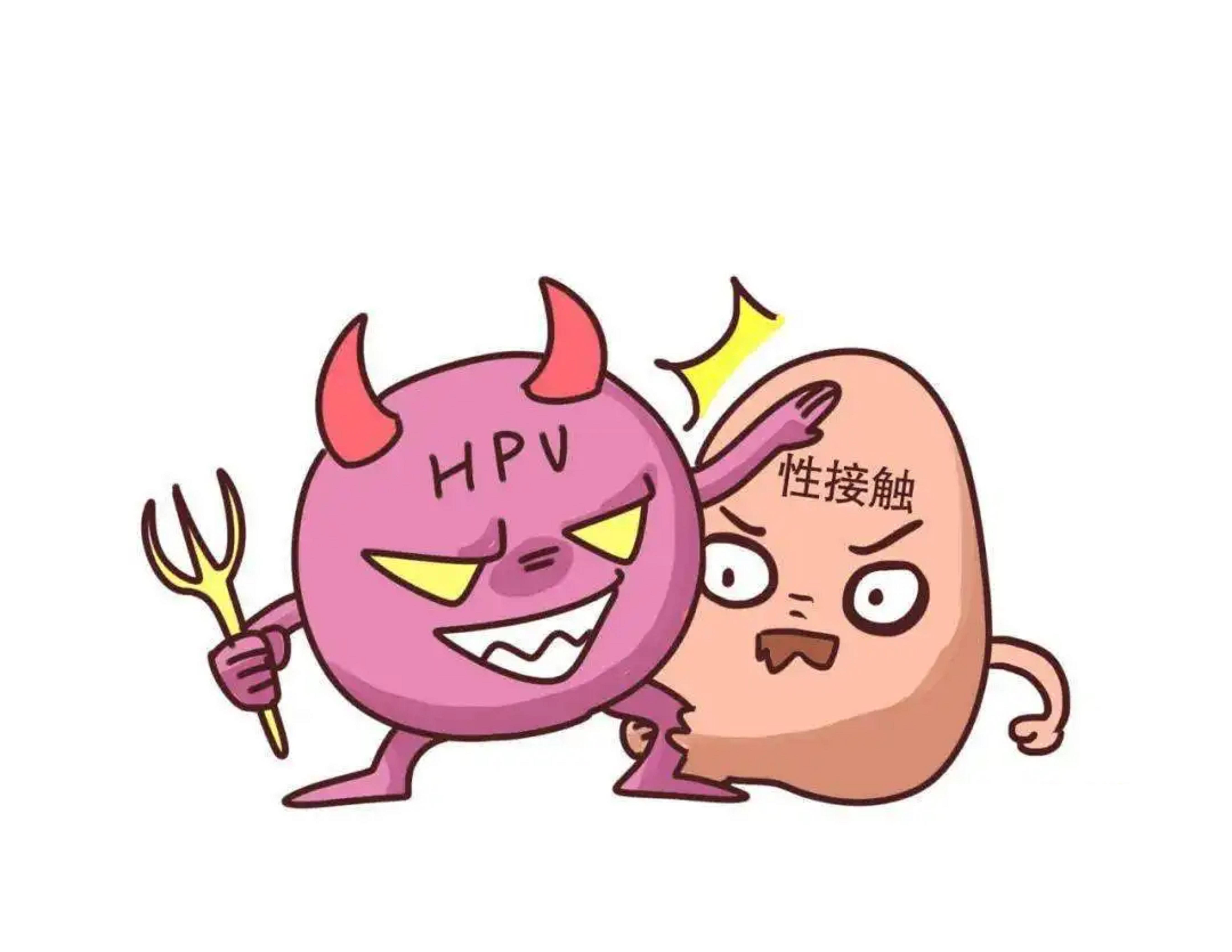 成都中科生殖医院解答:感染了hpv就是患了宫颈癌吗?_女性_病毒_患者