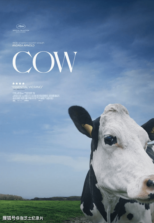 9943-英国纪录片《奶牛 Cow 2021》英语中英双字 官方纯净版 4K超清/2160P/MKV/3.5G “奶牛”的精神