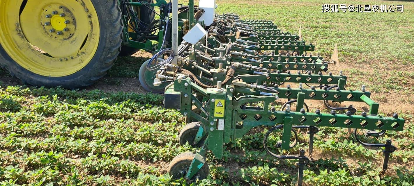 嘉福德藜麦除草机器人不同时期作业照片_除净_杂草_小时