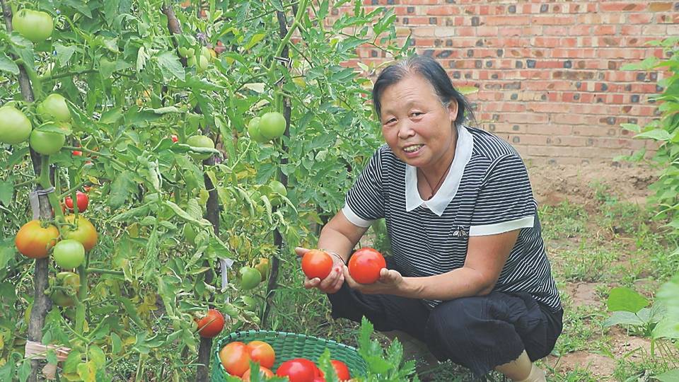 张文华 摄8月22日,在汾西县采访的记者闻听和平镇张泉村的庭院经济搞