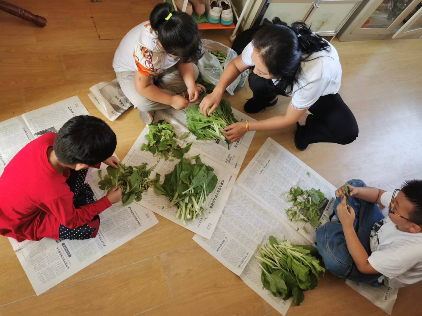 巧手择菜拌凉菜 增智增慧又增技