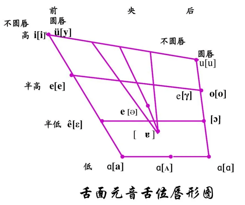 辅音发音部位图图片