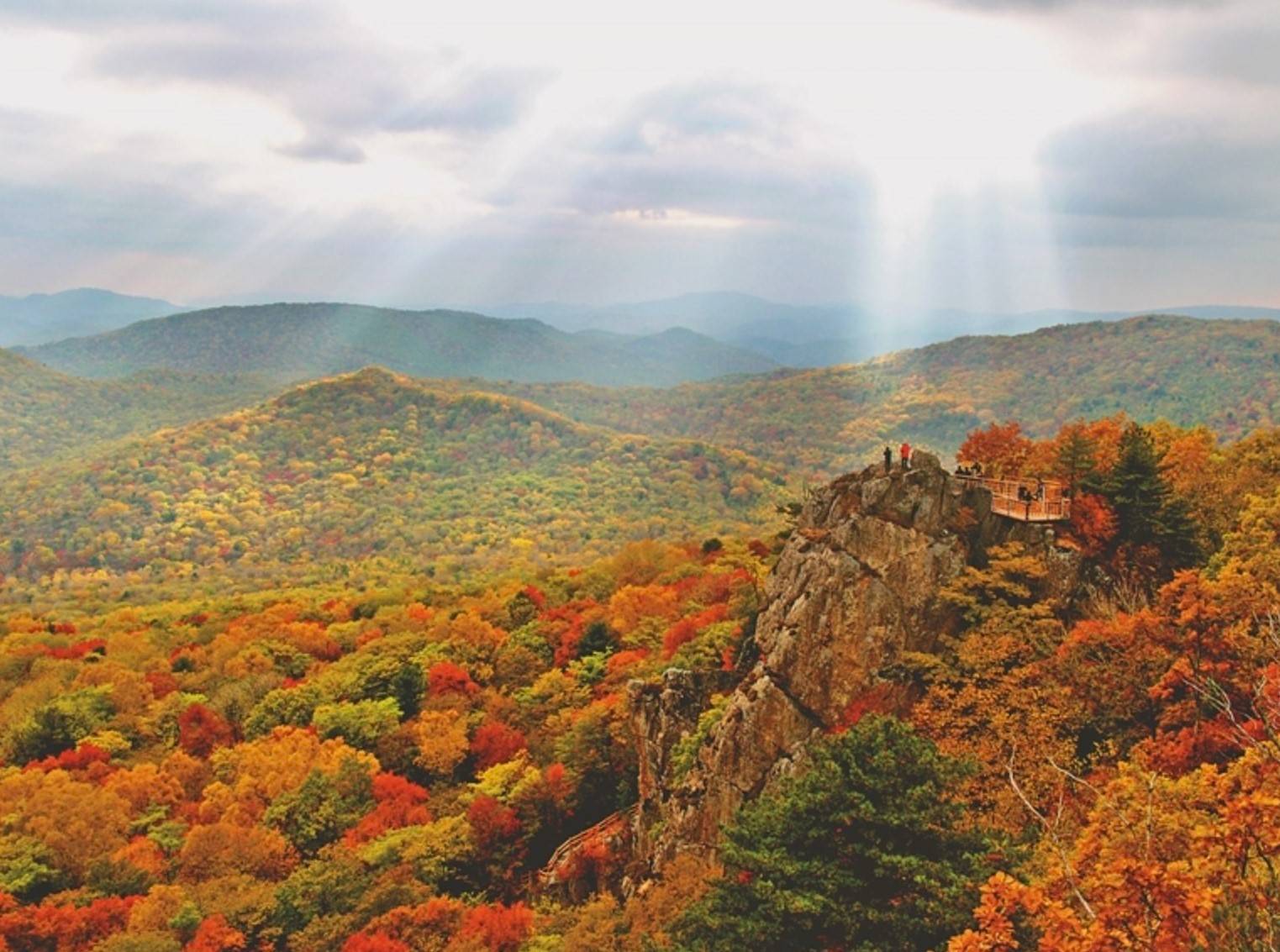 4a景区,国家森林公园.金龙山均被列入黑龙江"60个五花山美景"名单中.