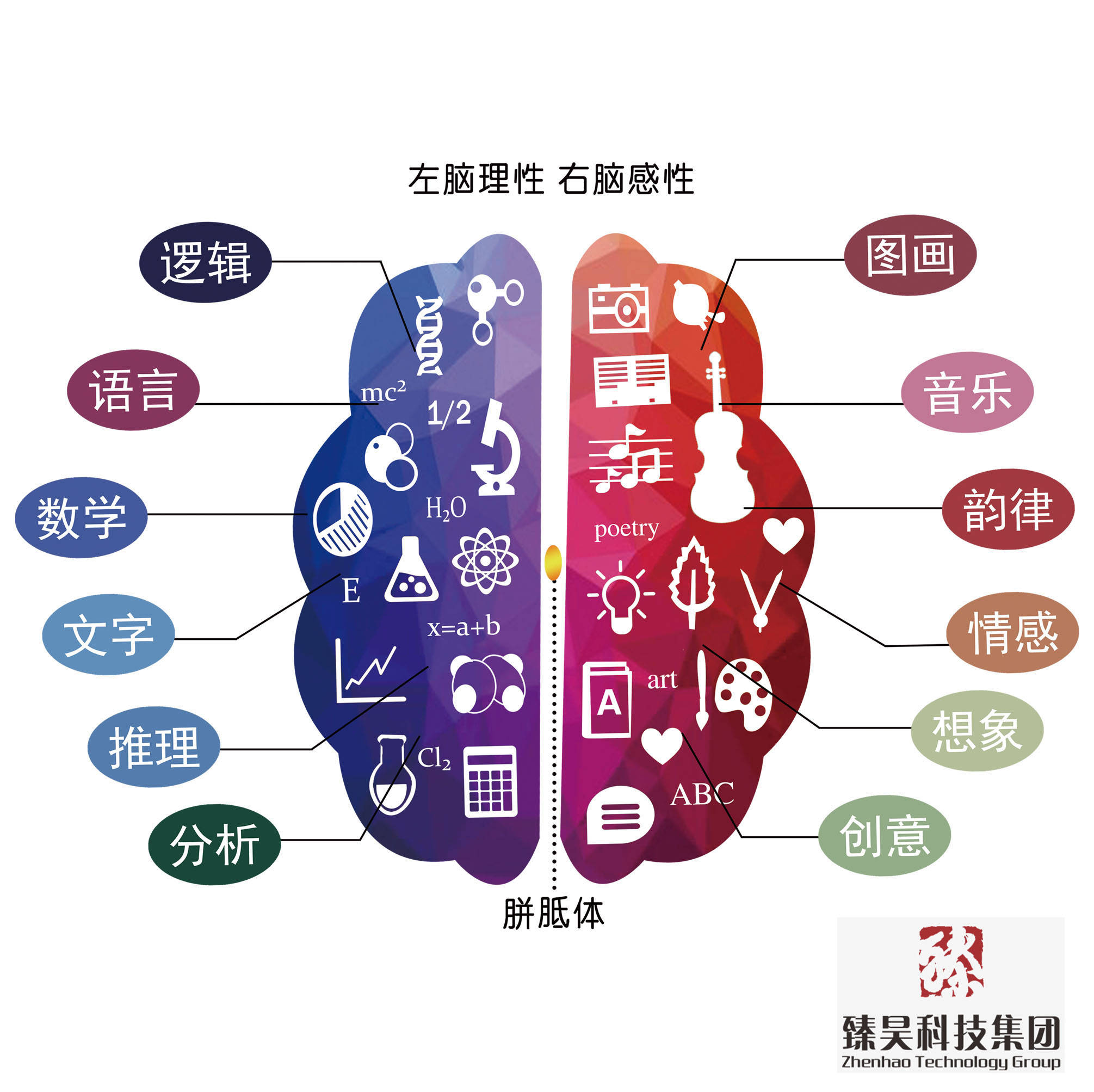 西安臻昊科技 全面开发提高孩子记忆力