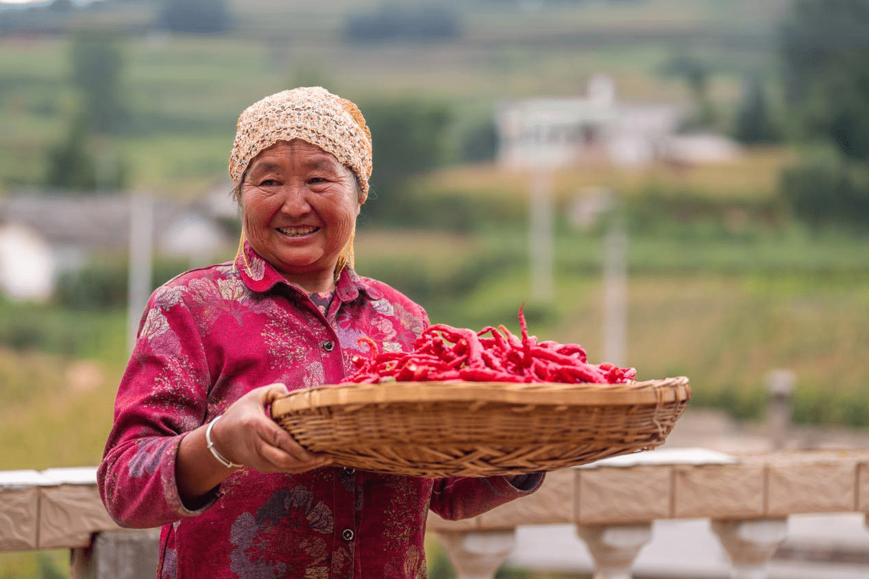 朝天椒,灯笼椒,小米椒,团籽椒,指形椒,二荆条,线椒,子弹头,辣椒王等