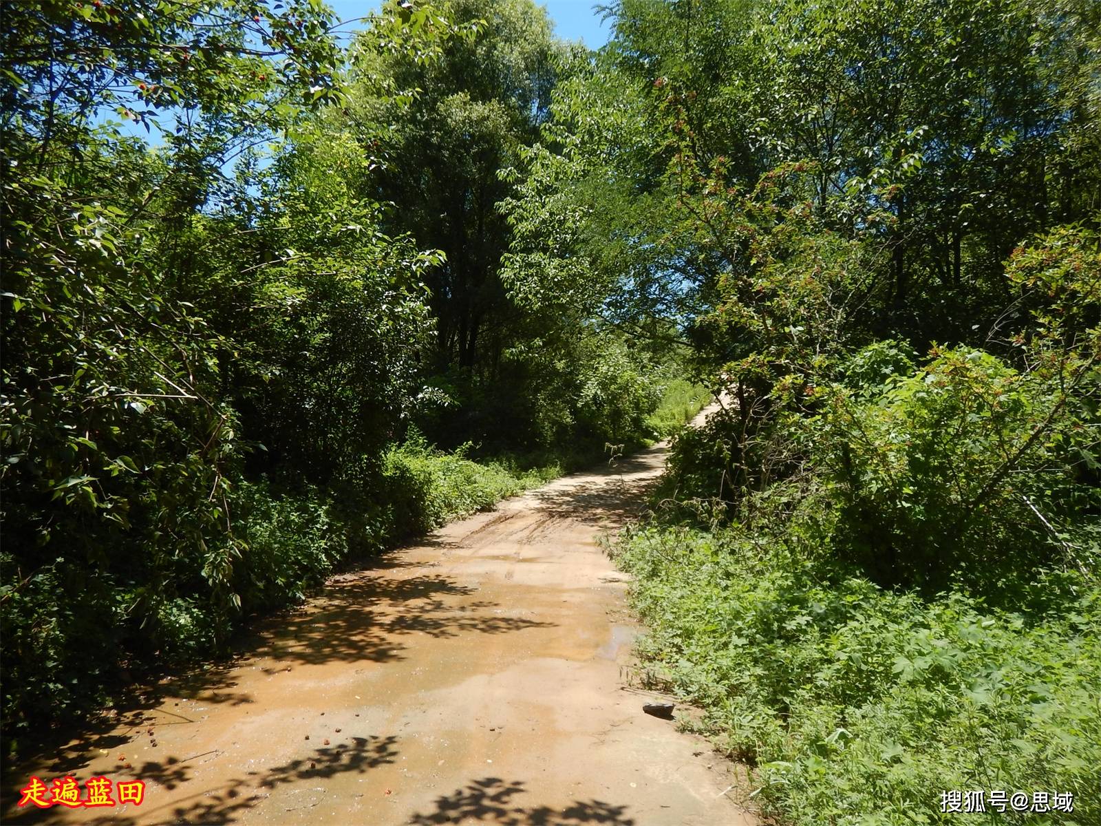 走遍藍田,2022厚鎮(江流溝村)穿越旅行(2)._路口_叔叔_花椒