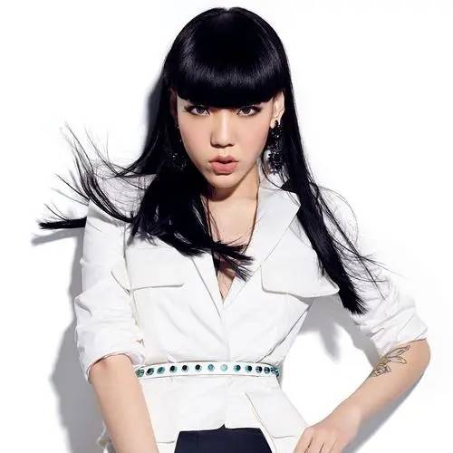 中国内地流行乐女歌手,影视演员,毕业于沈阳音乐学院