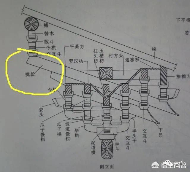 袱的结构图片