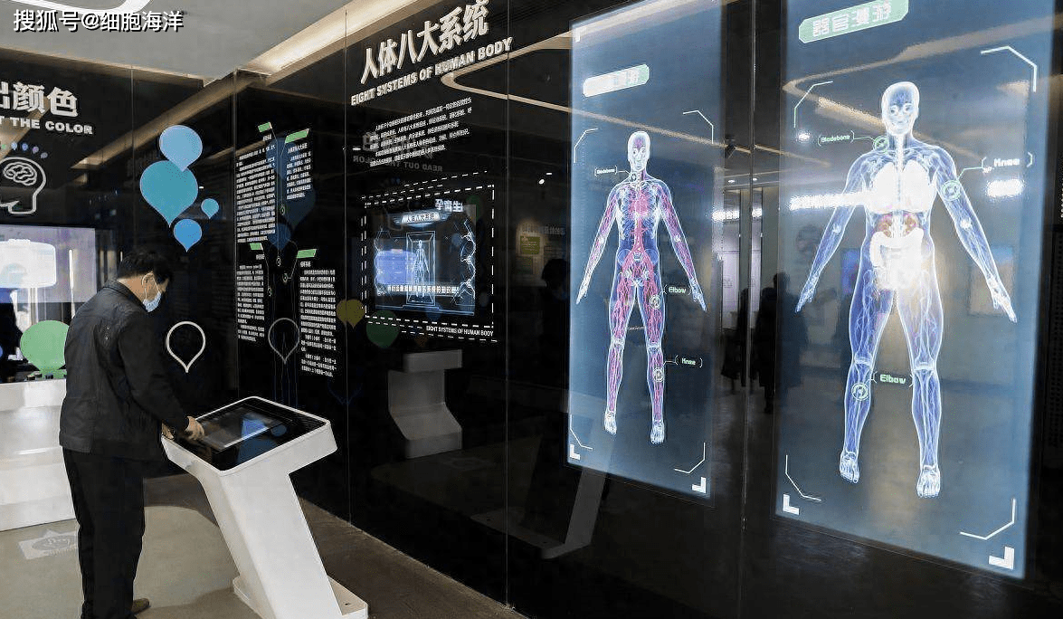 在干细胞科普馆中,多媒体展项设计是非常重要的一部分,可以通过多种