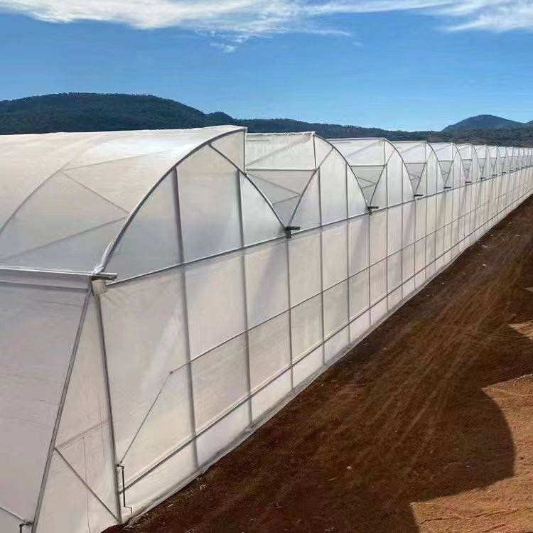 锯齿形薄膜温室大棚建造特点_设计_农业_进行