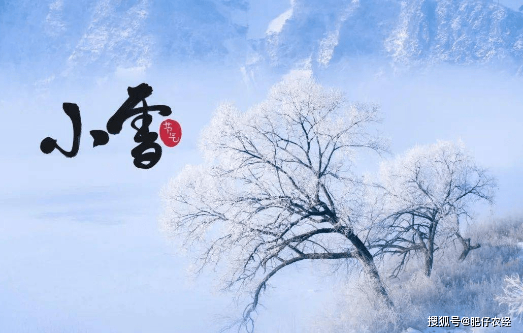 小雪天气变化有何预兆?看农谚怎么说?有没有道理?