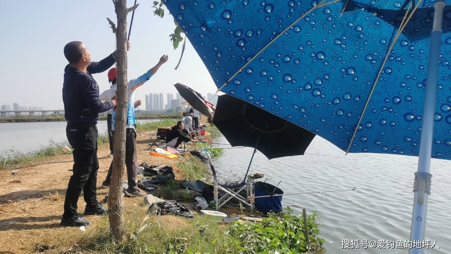 盘龙城休闲野钓好去处:盘龙城府河老卢野钓场(高德导航:府河老卢野钓