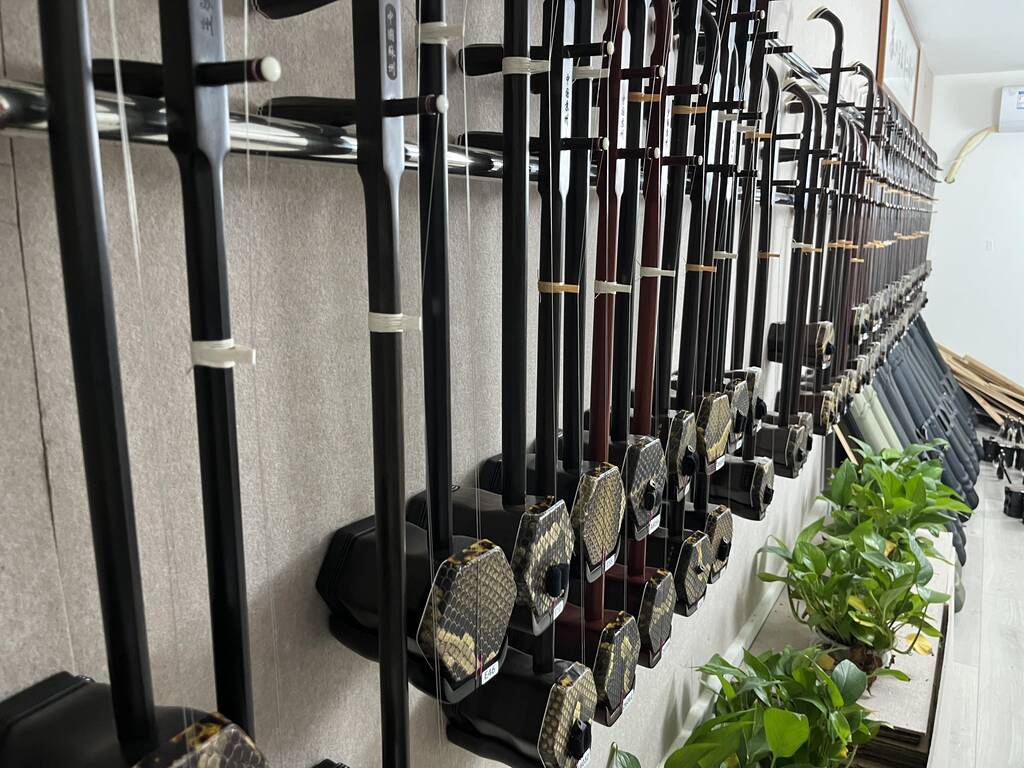 无论是初学者还是专业演奏者,成都的二胡市场都能提供多样的选择.