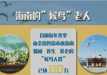 鼓励老年人冬南夏北候鸟式旅居养老:一种新型养老模式_方式_社会_支持