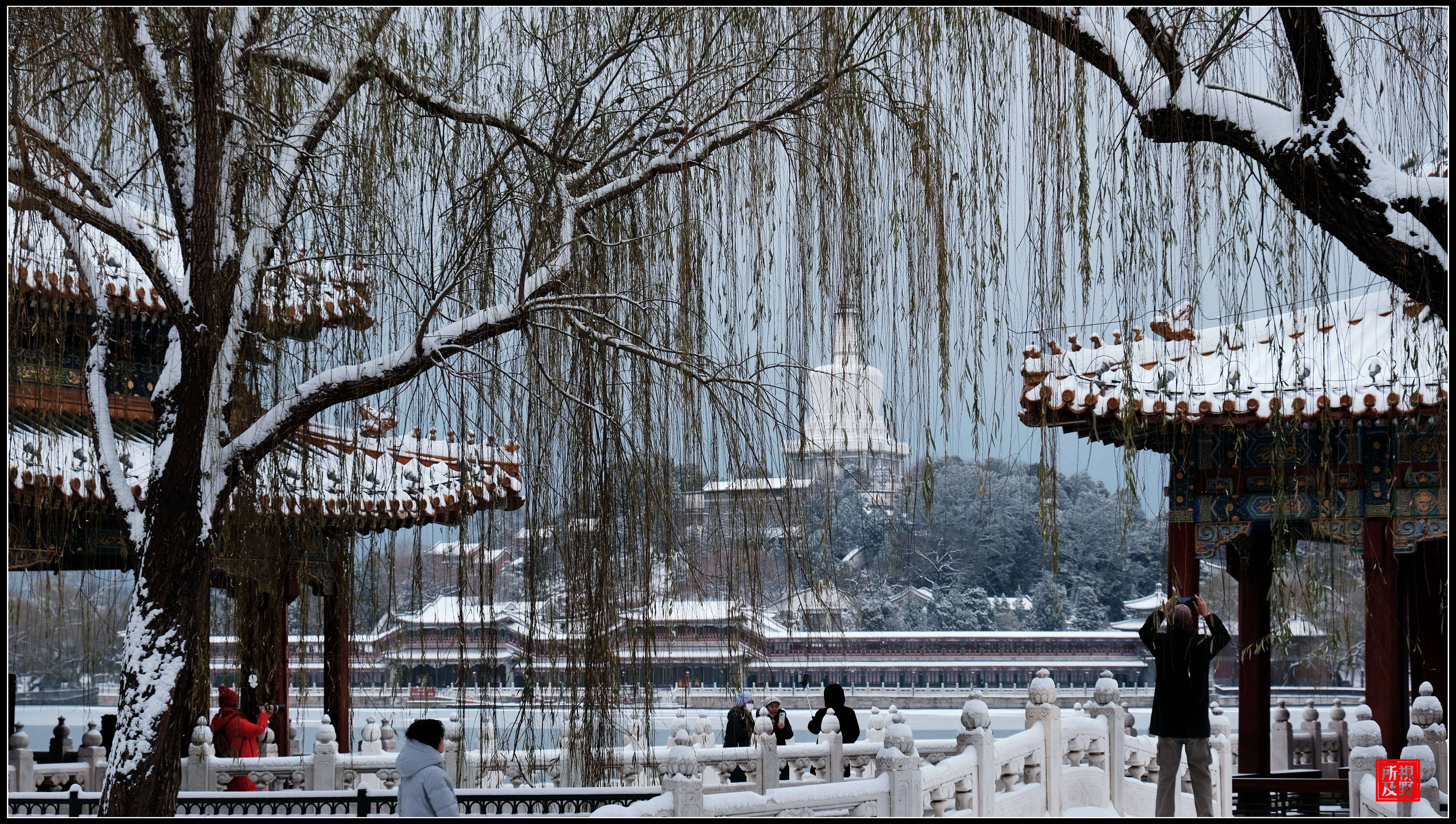 北京下雪的照片图片